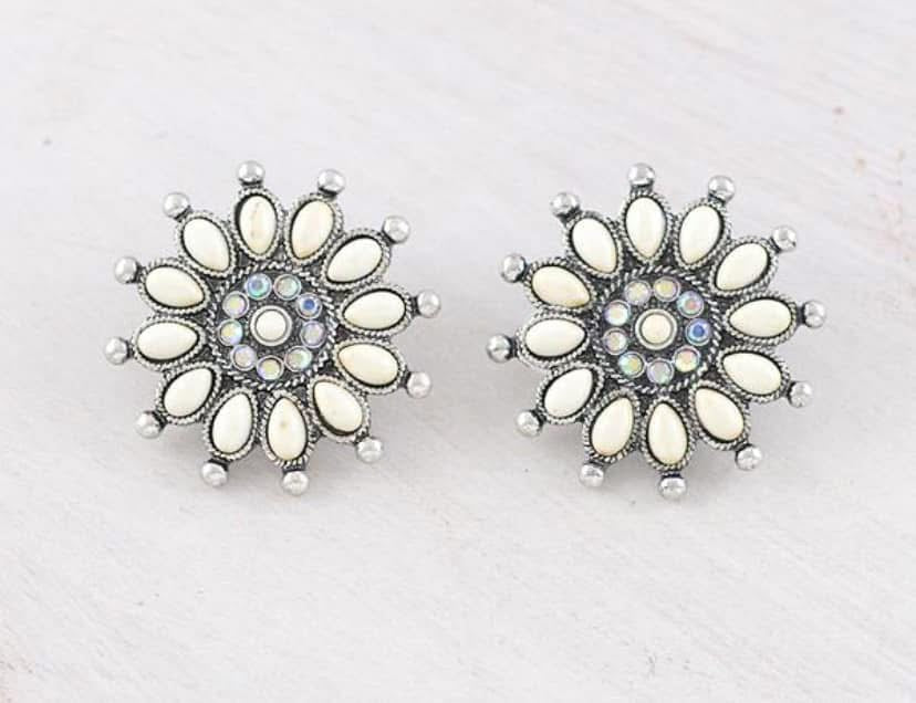 Dazzlin White Earring studs